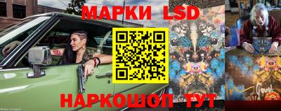 гашик Кинель