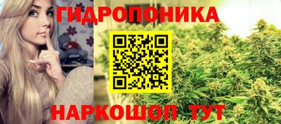 гашик Кинель
