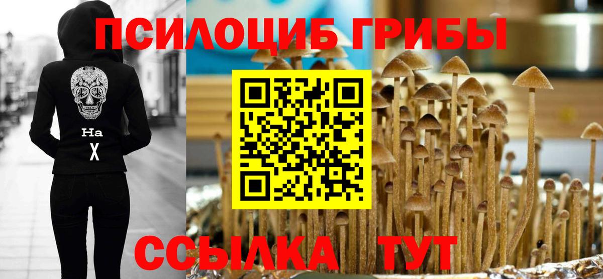 сколько стоит  Вход с VPN  Туймазы  Псилоцибиновые грибы Magic Shrooms 
